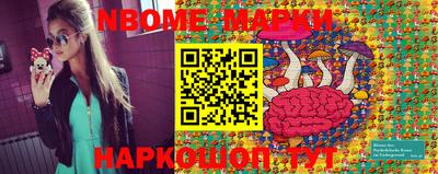 стафф Кинель