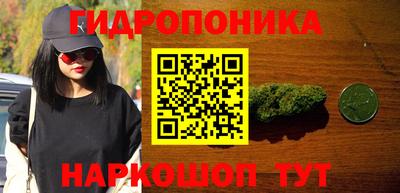 каннабис Кингисепп