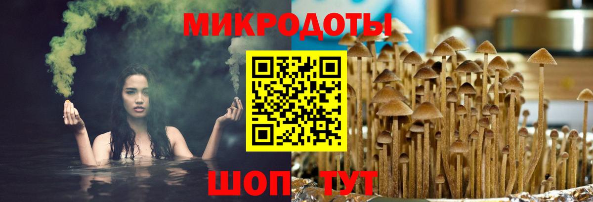 Галлюциногенные грибы мицелий  Вход с VPN  Псилоцибиновые грибы Psilocybe  Новочеркасск 